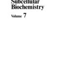 خرید و دانلود نسخه کامل کتاب Subcellular Biochemistry: Volume 7