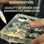 خرید و دانلود نسخه کامل کتاب Success in Artificial Insemination – Quality of Semen and Diagnostics Employed