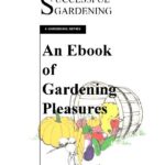 خرید و دانلود نسخه کامل کتاب Successful Gardening
