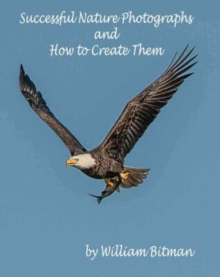 خرید و دانلود نسخه کامل کتاب Successful Nature Photographs and How To Create Them