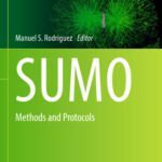 خرید و دانلود نسخه کامل کتاب SUMO: Methods and Protocols