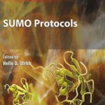خرید و دانلود نسخه کامل کتاب SUMO Protocols
