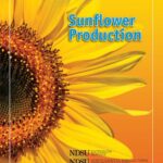 خرید و دانلود نسخه کامل کتاب Sunflower Production Guide