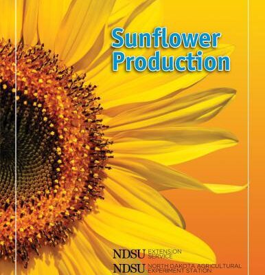 خرید و دانلود نسخه کامل کتاب Sunflower Production Guide