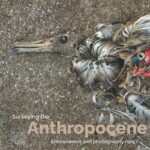 خرید و دانلود نسخه کامل کتاب Surveying the Anthropocene: Environment and Photography Now