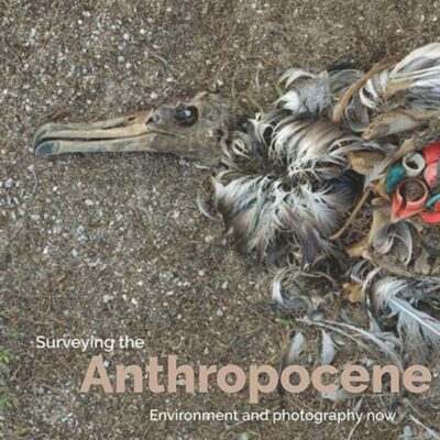 خرید و دانلود نسخه کامل کتاب Surveying the Anthropocene: Environment and Photography Now