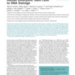 خرید و دانلود نسخه کامل کتاب Survival Responses of Human Embryonic Stem Cells to DNA Damage (Article)