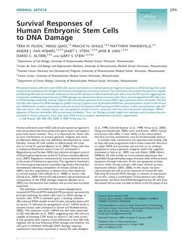 خرید و دانلود نسخه کامل کتاب Survival Responses of Human Embryonic Stem Cells to DNA Damage (Article)_68e6e8c86ec1b.jpeg خرید و دانلود نسخه کامل کتاب Survival Responses of Human Embryonic Stem Cells to DNA Damage (Article)