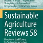 خرید و دانلود نسخه کامل کتاب Sustainable Agriculture Reviews 58: Phosphorus Use Efficiency for Sustainable Agriculture