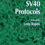 خرید و دانلود نسخه کامل کتاب SV40 Protocols