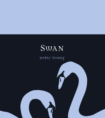 خرید و دانلود نسخه کامل کتاب Swan (Reaktion Books – Animal)
