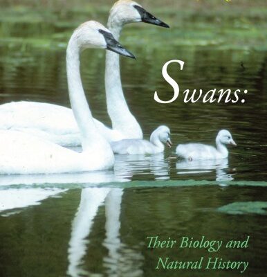 خرید و دانلود نسخه کامل کتاب Swans: Their Biology and Natural History