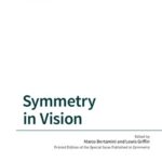 خرید و دانلود نسخه کامل کتاب Symmetry in Vision