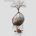 خرید و دانلود نسخه کامل کتاب Synthetic: How Life Got Made