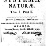 خرید و دانلود نسخه کامل کتاب Systema naturae per regna tria naturae: secundum classes, ordines, genera, species cum characteribus, differentiis, sinonimis, locis. Tomus I, [Regnum animale]. [Pars II]. 834 p. Holmiae: Impensis Laurentii Salvii. 1767