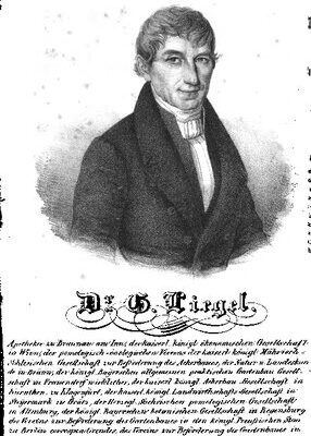 خرید و دانلود نسخه کامل کتاب Systematisches Handbuch der Obstkunde nebst Anitung zur Obstbaumzucht und zweckmäßiger Benutzung des Obstes
