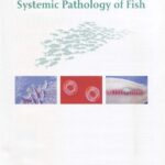 خرید و دانلود نسخه کامل کتاب Systemic Pathology of Fish: a text and atlas of normal tissues in teleosts and their responses in disease.