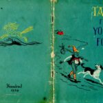 خرید و دانلود نسخه کامل کتاب Tales for Young Folk