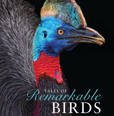 خرید و دانلود نسخه کامل کتاب Tales of Remarkable Birds