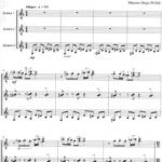 خرید و دانلود نسخه کامل کتاب Tangodo (Trio Rhapsody)