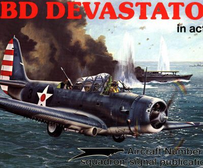 خرید و دانلود نسخه کامل کتاب TBD Devastator in action