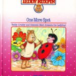 خرید و دانلود نسخه کامل کتاب Teddy Ruxpin – One More Spot
