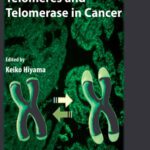 خرید و دانلود نسخه کامل کتاب Telomeres and Telomerase in Cancer