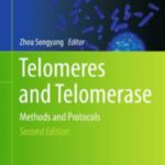 خرید و دانلود نسخه کامل کتاب Telomeres and Telomerase: Methods and Protocols