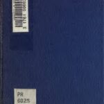 خرید و دانلود نسخه کامل کتاب The Angels of Mons: The Bowmen and Other Legends of the War