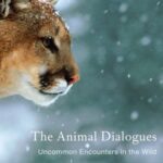 خرید و دانلود نسخه کامل کتاب The Animal Dialogues Uncommon Encounters in the Wild