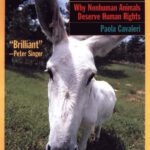 خرید و دانلود نسخه کامل کتاب The Animal Question: Why Non-Human Animals Deserve Human Rights