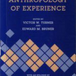 خرید و دانلود نسخه کامل کتاب The Anthropology of Experience