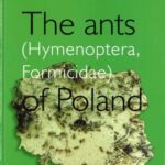 خرید و دانلود نسخه کامل کتاب The ants (Hymenoptera, Formicidae) of Poland