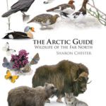 خرید و دانلود نسخه کامل کتاب The Arctic Guide: Wildlife of the Far North