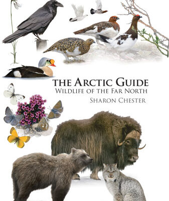خرید و دانلود نسخه کامل کتاب The Arctic Guide: Wildlife of the Far North