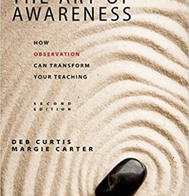 خرید و دانلود نسخه کامل کتاب The Art of Awareness: How Observation Can Transform Your Teaching (2nd Edition) – + pdf