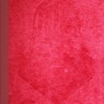 خرید و دانلود نسخه کامل کتاب The Art of Star Wars Episode III Revenge of the Sith