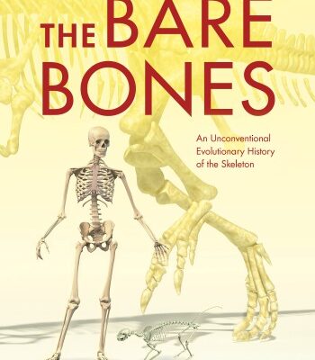 خرید و دانلود نسخه کامل کتاب The Bare Bones: An Unconventional Evolutionary History of the Skeleton