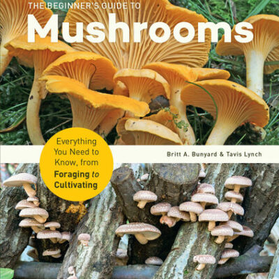 خرید و دانلود نسخه کامل کتاب The Beginner’s Guide to Mushrooms