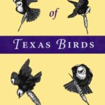 خرید و دانلود نسخه کامل کتاب The Behavior of Texas Birds: A Field Companion (Corrie Herring Hooks Series)