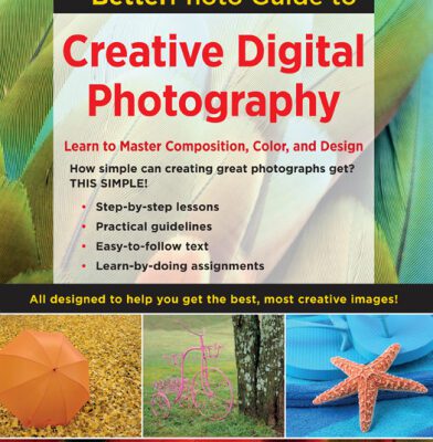 خرید و دانلود نسخه کامل کتاب The BetterPhoto Guide to Creative Digital Photography  Learn to Master Composition, Color, and Design