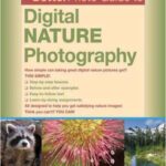 خرید و دانلود نسخه کامل کتاب The BetterPhoto Guide to Digital Nature Photography