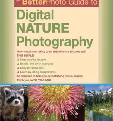 خرید و دانلود نسخه کامل کتاب The BetterPhoto Guide to Digital Nature Photography