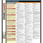 خرید و دانلود نسخه کامل کتاب The Bible SparkCharts