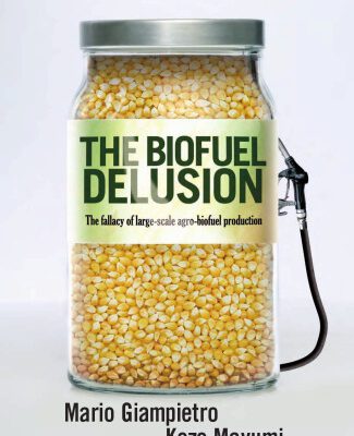 خرید و دانلود نسخه کامل کتاب The Biofuel Delusion: The Fallacy of Large Scale Agro-Biofuel Production
