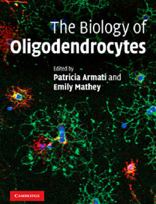 خرید و دانلود نسخه کامل کتاب The Biology of Oligodendrocytes