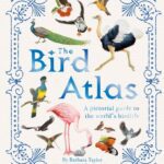 خرید و دانلود نسخه کامل کتاب The Bird Atlas