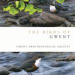 خرید و دانلود نسخه کامل کتاب The Birds of Gwent (Helm County Avifauna)