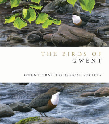 خرید و دانلود نسخه کامل کتاب The Birds of Gwent (Helm County Avifauna)
