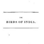 خرید و دانلود نسخه کامل کتاب The Birds of India – Volume 1